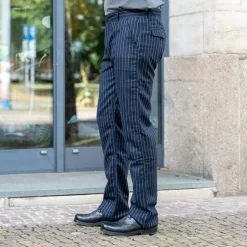 Wool Pants 101 Blue Striped